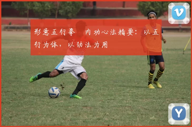 形意五行拳・内功心法精要：以五行为体，以劲法为用