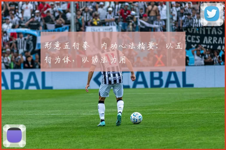 形意五行拳・内功心法精要:以五行为体,以劲法为用