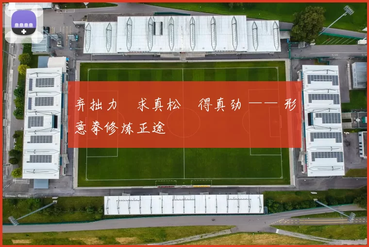 弃拙力・求真松・得真劲 —— 形意拳修炼正途