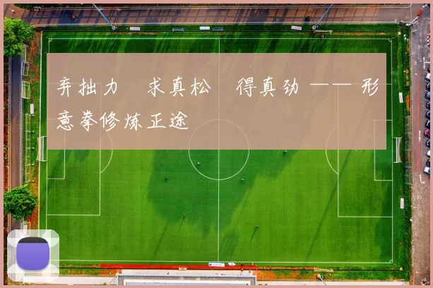 弃拙力・求真松・得真劲 —— 形意拳修炼正途