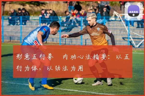 形意五行拳・内功心法精要：以五行为体，以劲法为用