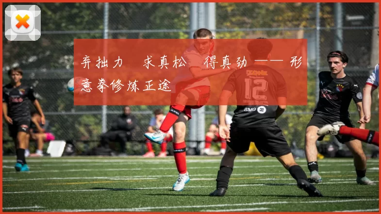 弃拙力・求真松・得真劲 —— 形意拳修炼正途