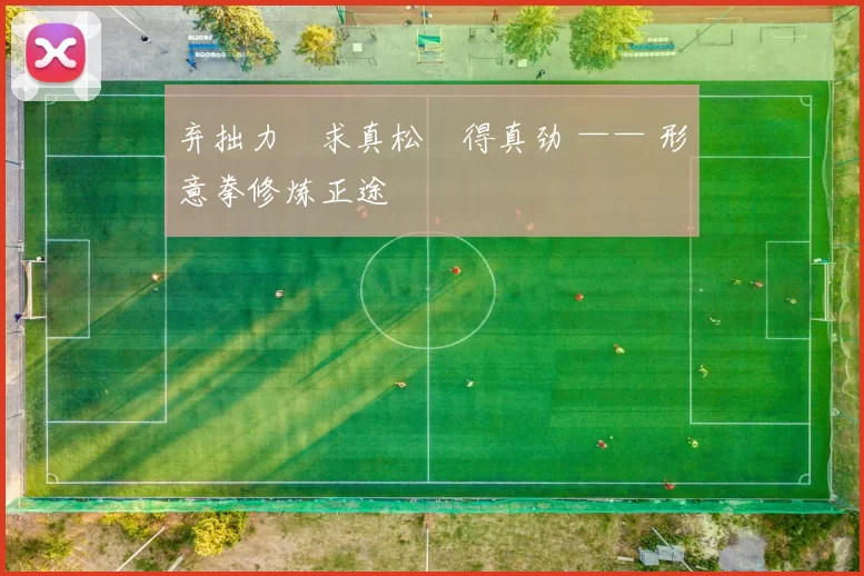 弃拙力・求真松・得真劲 —— 形意拳修炼正途