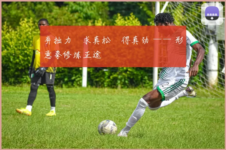 弃拙力・求真松・得真劲 —— 形意拳修炼正途