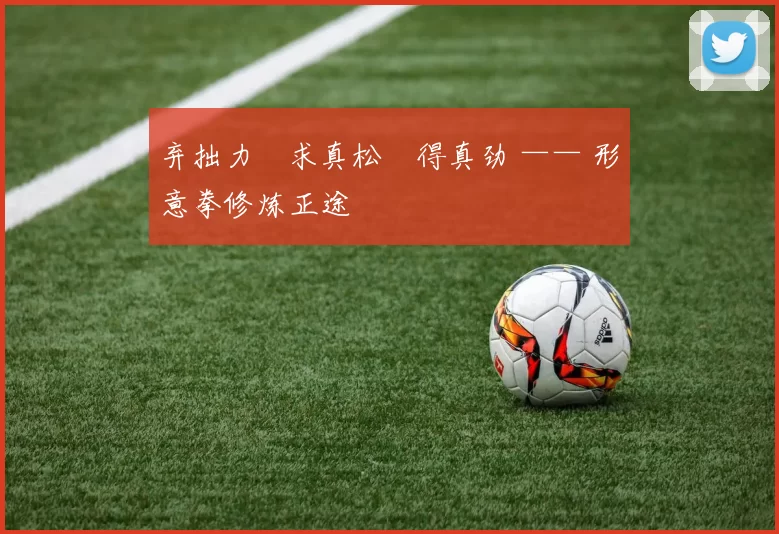 弃拙力・求真松・得真劲 —— 形意拳修炼正途