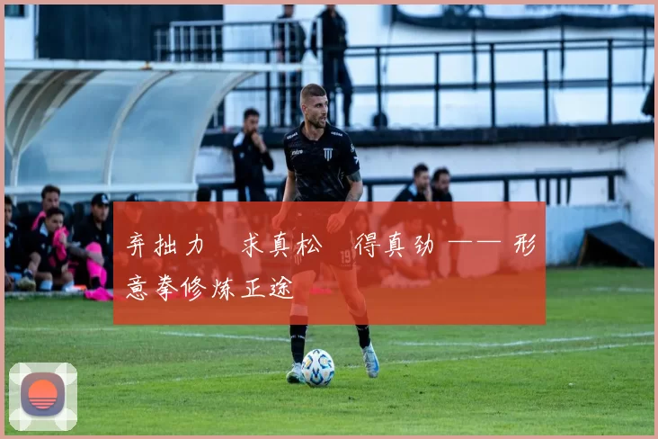 弃拙力・求真松・得真劲 —— 形意拳修炼正途