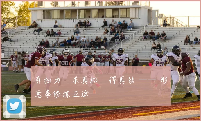 弃拙力・求真松・得真劲 —— 形意拳修炼正途