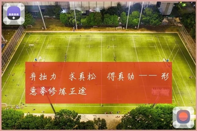 弃拙力・求真松・得真劲 —— 形意拳修炼正途