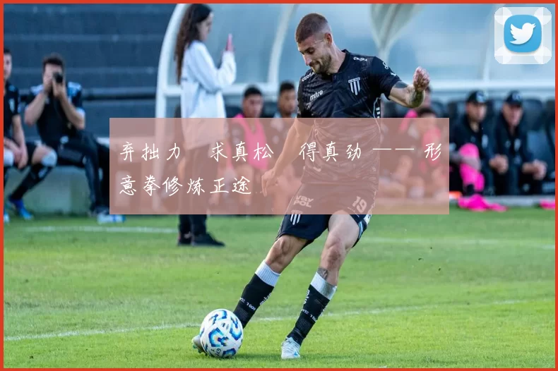 弃拙力・求真松・得真劲 —— 形意拳修炼正途