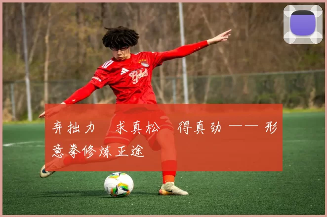 弃拙力・求真松・得真劲 —— 形意拳修炼正途