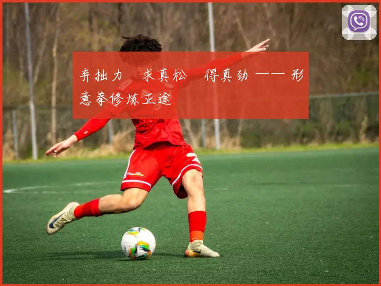 弃拙力・求真松・得真劲 —— 形意拳修炼正途