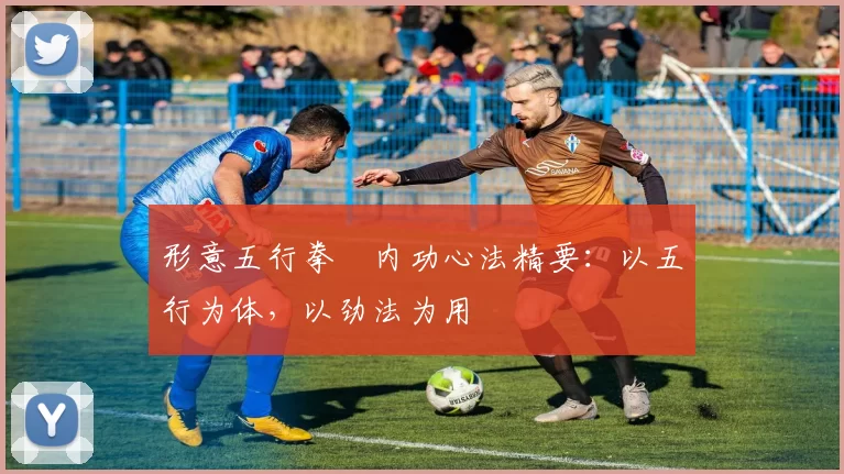 形意五行拳・内功心法精要:以五行为体,以劲法为用