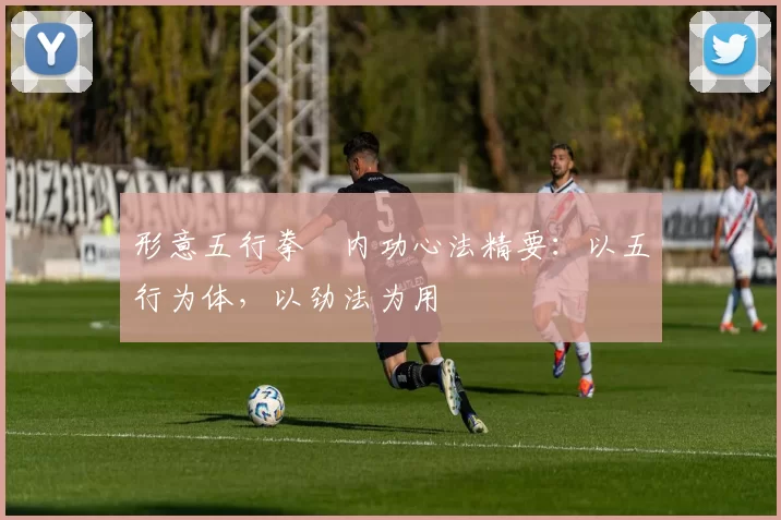 形意五行拳・内功心法精要:以五行为体,以劲法为用