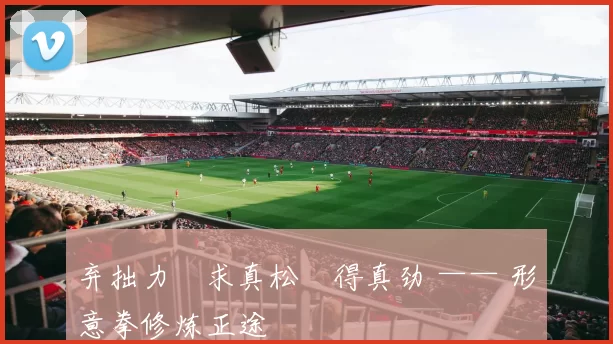 弃拙力・求真松・得真劲 —— 形意拳修炼正途