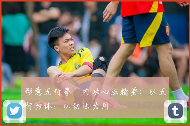 形意五行拳・内功心法精要：以五行为体，以劲法为用