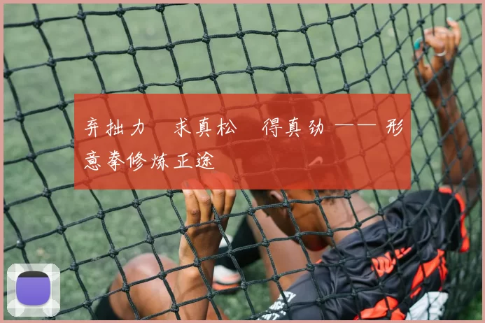 弃拙力・求真松・得真劲 —— 形意拳修炼正途