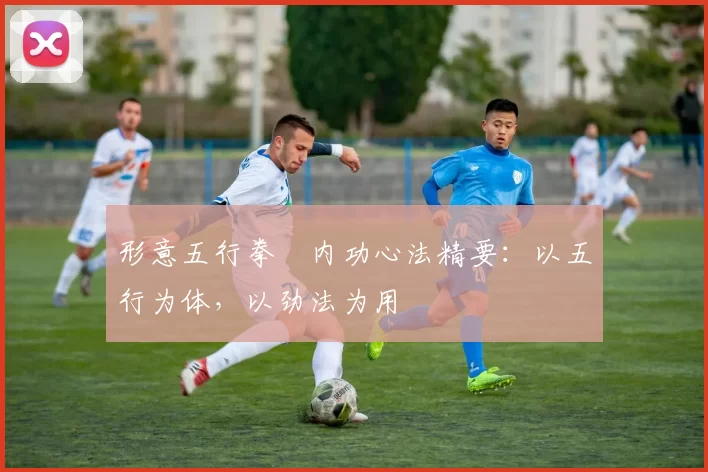 形意五行拳・内功心法精要：以五行为体，以劲法为用