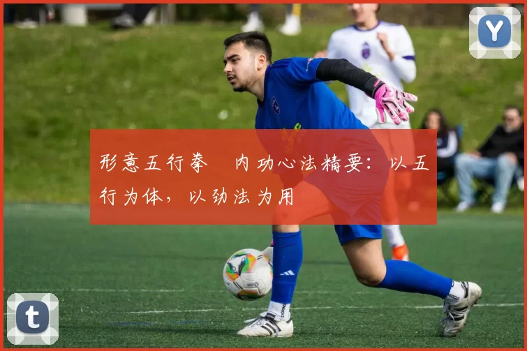 形意五行拳・内功心法精要:以五行为体,以劲法为用