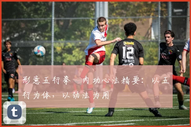 形意五行拳・内功心法精要：以五行为体，以劲法为用