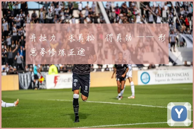 弃拙力・求真松・得真劲 —— 形意拳修炼正途