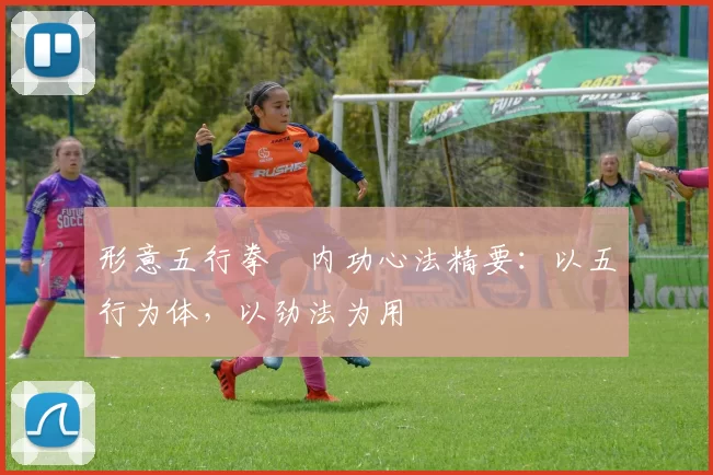 形意五行拳・内功心法精要：以五行为体，以劲法为用