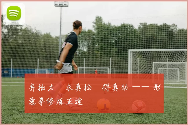 弃拙力・求真松・得真劲 —— 形意拳修炼正途