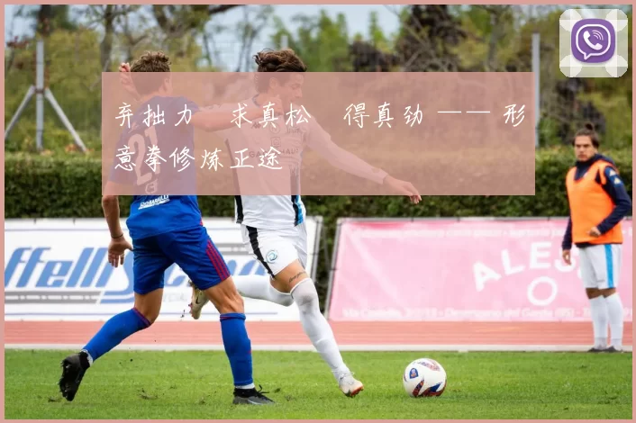 弃拙力・求真松・得真劲 —— 形意拳修炼正途