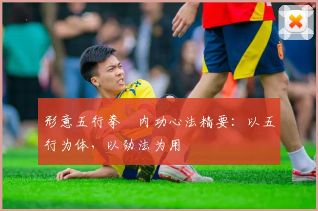 形意五行拳・内功心法精要：以五行为体，以劲法为用