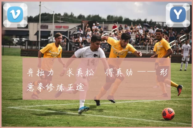 弃拙力・求真松・得真劲 —— 形意拳修炼正途