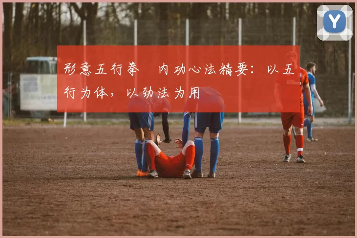 形意五行拳・内功心法精要：以五行为体，以劲法为用