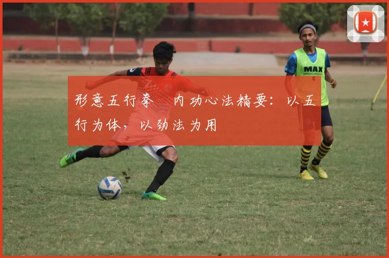 形意五行拳・内功心法精要：以五行为体，以劲法为用
