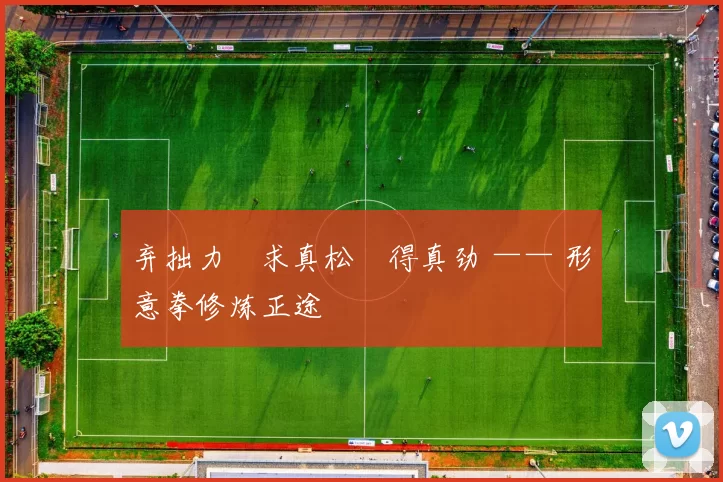 弃拙力・求真松・得真劲 —— 形意拳修炼正途