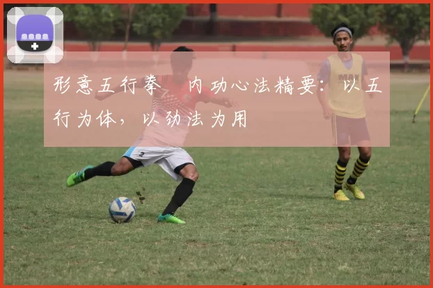 形意五行拳・内功心法精要：以五行为体，以劲法为用