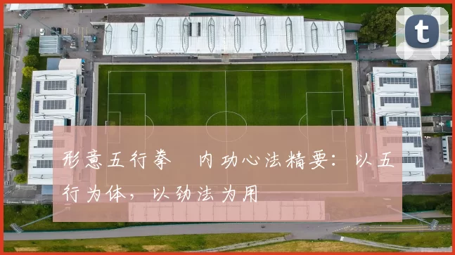 形意五行拳・内功心法精要：以五行为体，以劲法为用