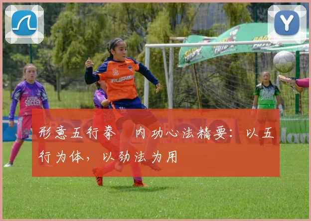 形意五行拳・内功心法精要：以五行为体，以劲法为用