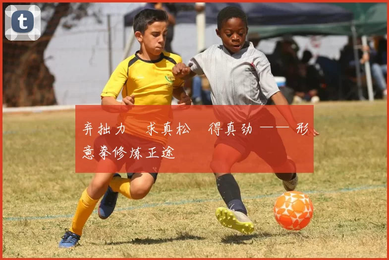 弃拙力・求真松・得真劲 —— 形意拳修炼正途
