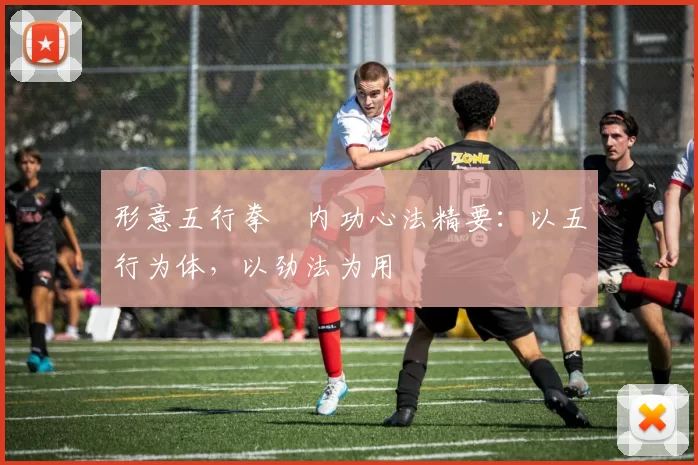 形意五行拳・内功心法精要：以五行为体，以劲法为用