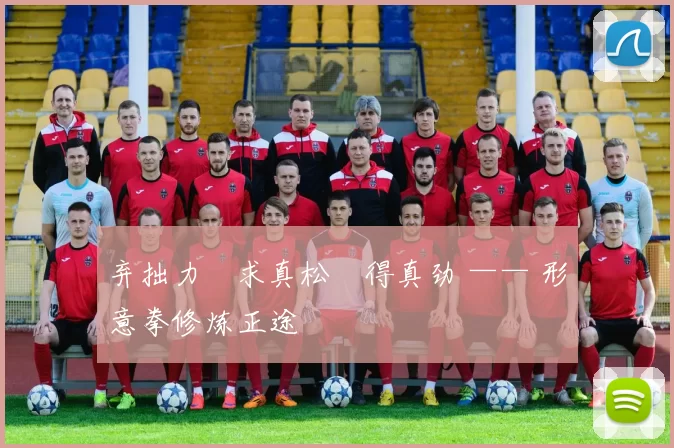 弃拙力・求真松・得真劲 —— 形意拳修炼正途