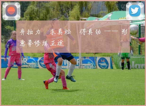 弃拙力・求真松・得真劲 —— 形意拳修炼正途