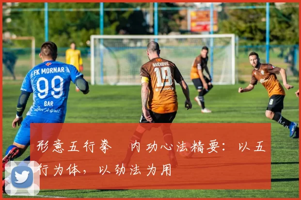 形意五行拳・内功心法精要：以五行为体，以劲法为用