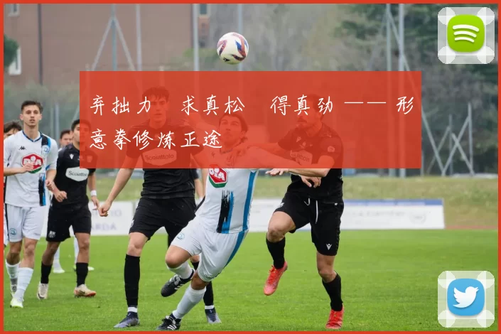 弃拙力・求真松・得真劲 —— 形意拳修炼正途