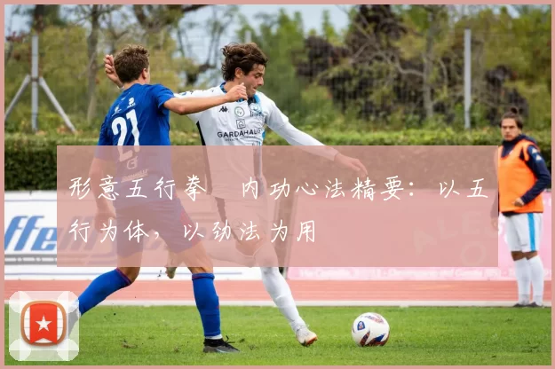 形意五行拳・内功心法精要：以五行为体，以劲法为用