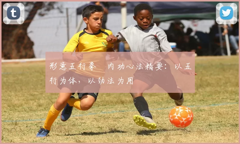 形意五行拳・内功心法精要：以五行为体，以劲法为用