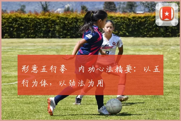 形意五行拳・内功心法精要:以五行为体,以劲法为用