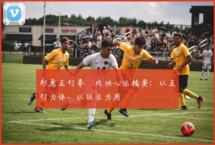 形意五行拳・内功心法精要：以五行为体，以劲法为用