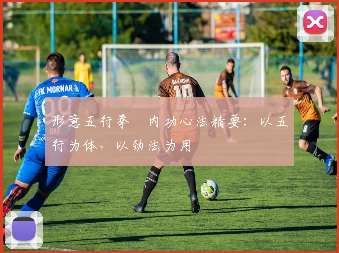 形意五行拳・内功心法精要：以五行为体，以劲法为用