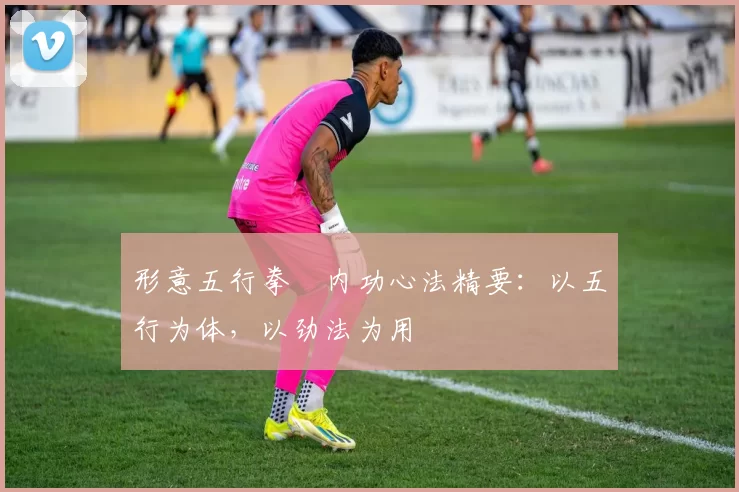 形意五行拳・内功心法精要:以五行为体,以劲法为用