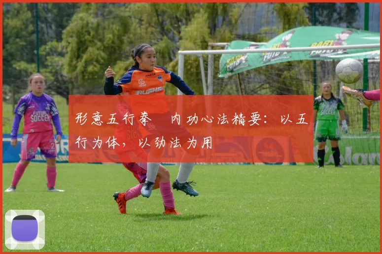 形意五行拳・内功心法精要：以五行为体，以劲法为用