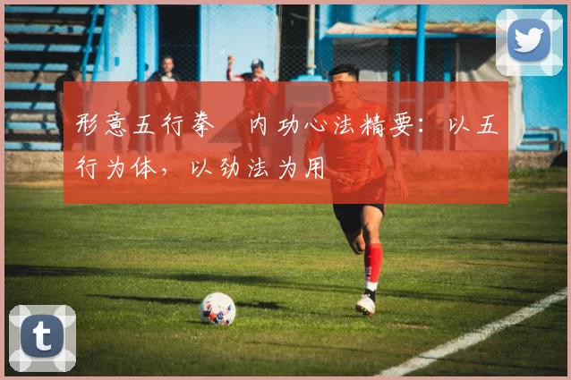 形意五行拳・内功心法精要：以五行为体，以劲法为用