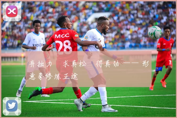 弃拙力・求真松・得真劲 —— 形意拳修炼正途